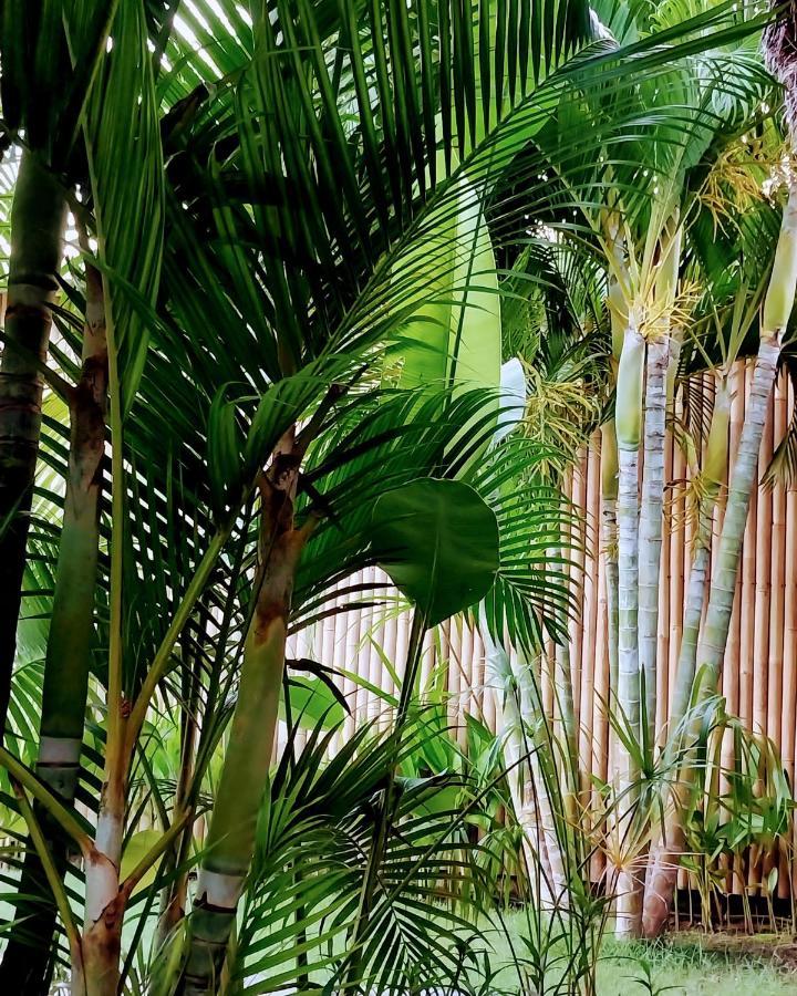 Manusia Dunia Green Lodge Νησιά Γκίλι Εξωτερικό φωτογραφία